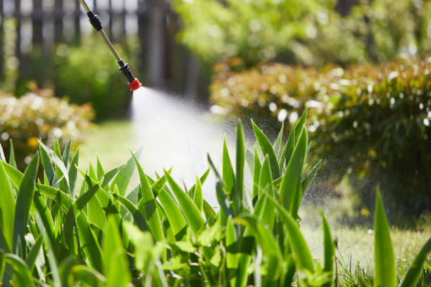 24/7 Emergency Mosquito Control experts in Queens Gate, PA